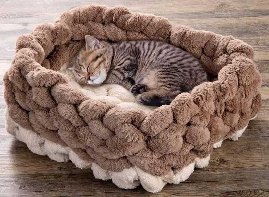 Free cat bed knitting patterns