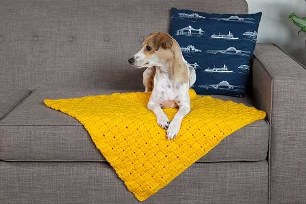 Free knitting patterns for dog blankets