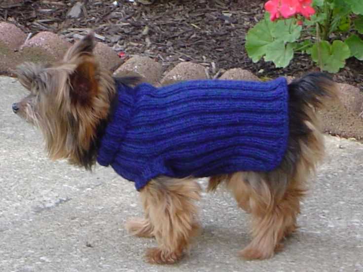 Free knitting dog coat patterns