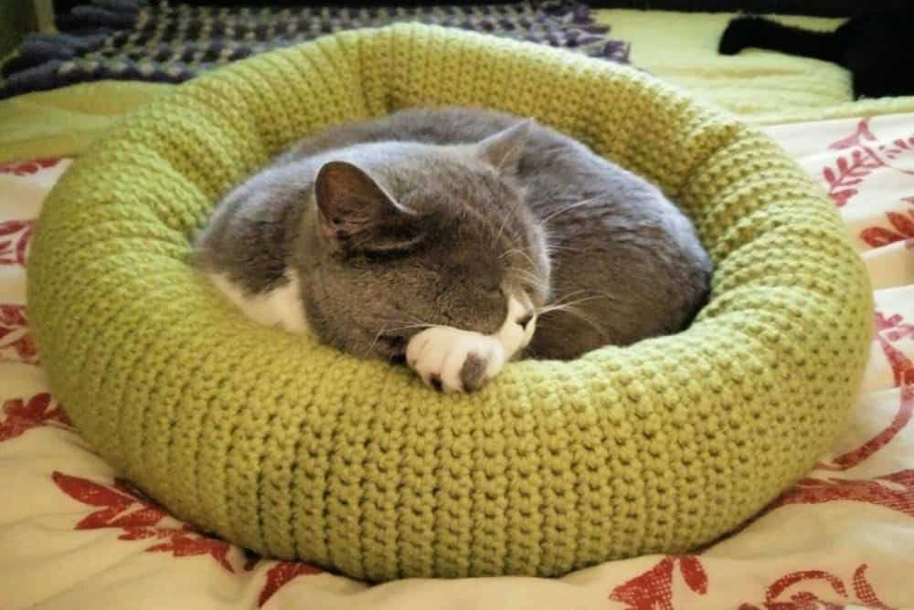 Knitted dog bed pattern