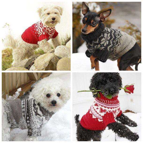 Knitting patterns for pets clothes