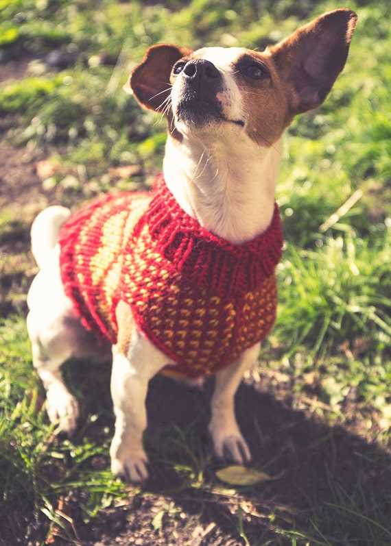 Knitting pattern for dog christmas jumper
