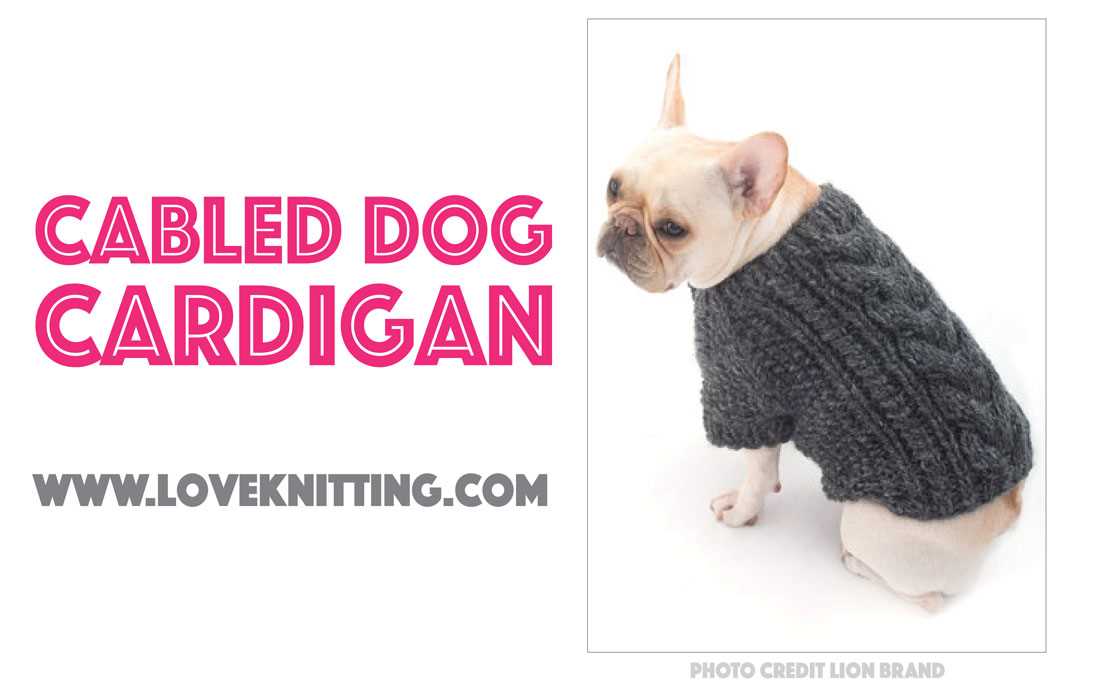 Knitted puppy sweater pattern
