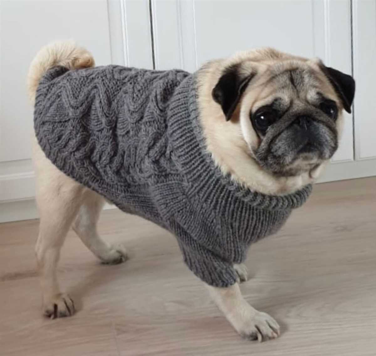 Pug sweater knitting pattern