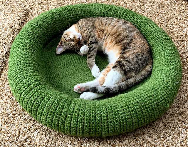 Free cat bed knitting patterns