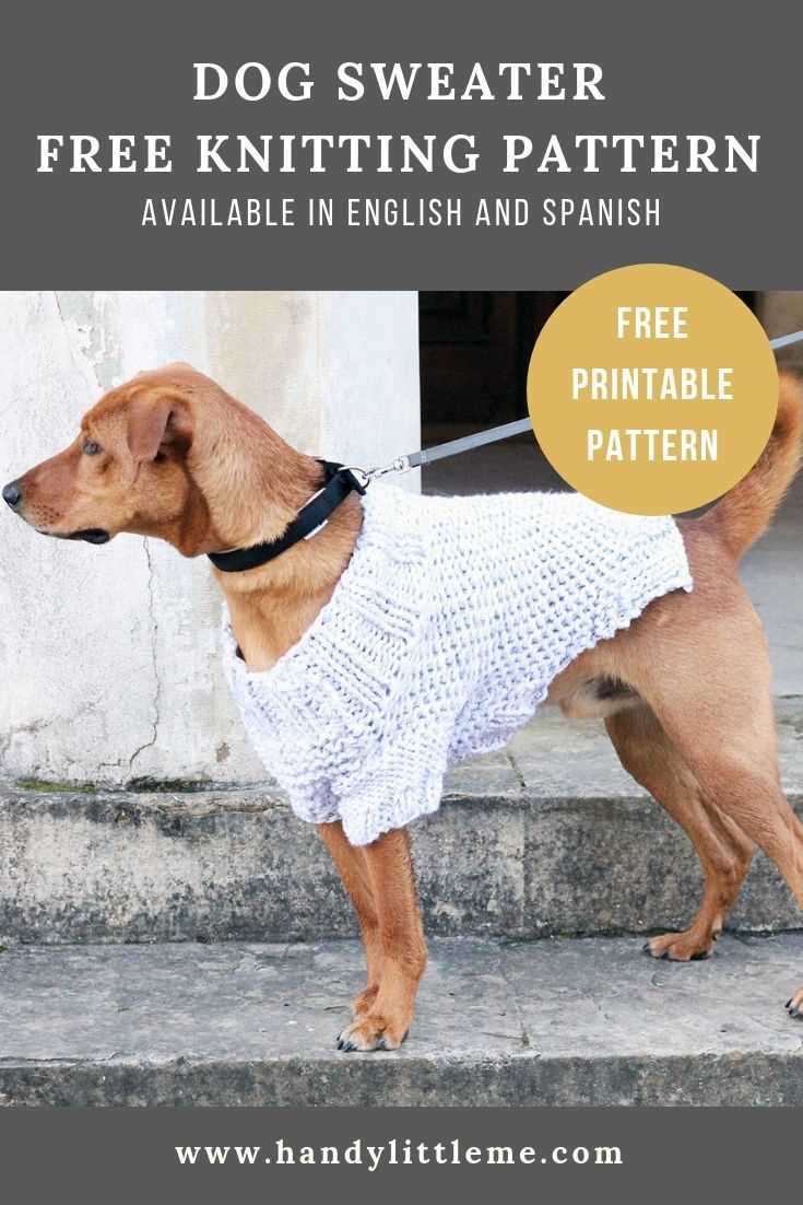 Easy pattern for knitted dog sweater