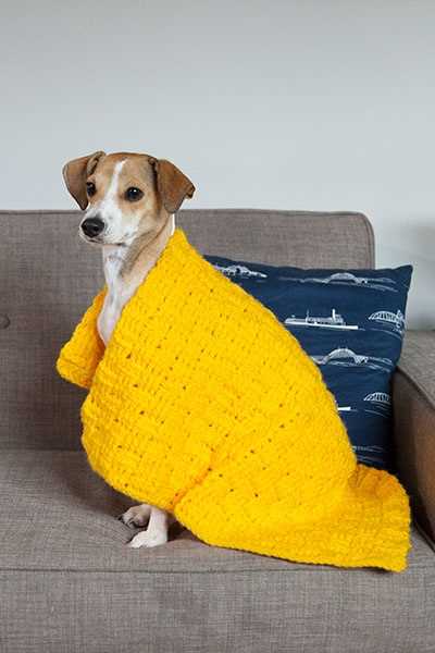 Dog poncho knitting pattern