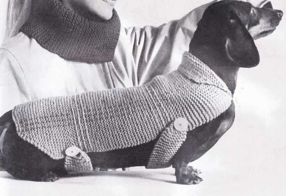 Free knitting pattern for dachshund dog jumper