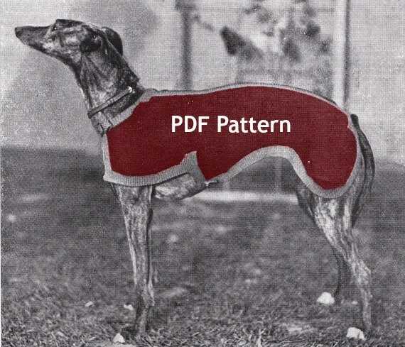 Whippet sweater knitting pattern