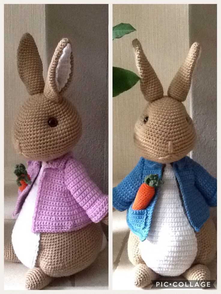 Knitted peter rabbit pattern