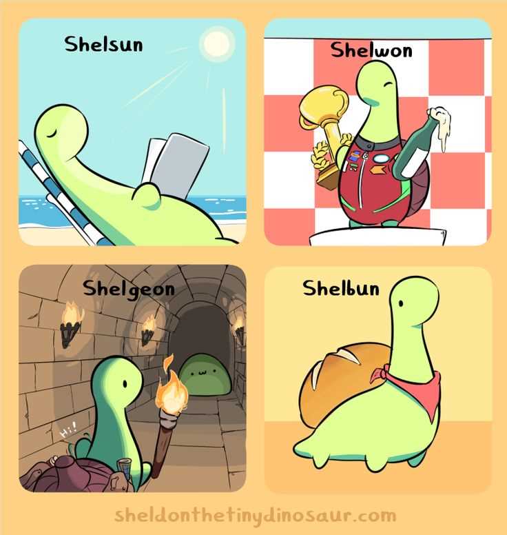 Sheldon the turtle knitting pattern