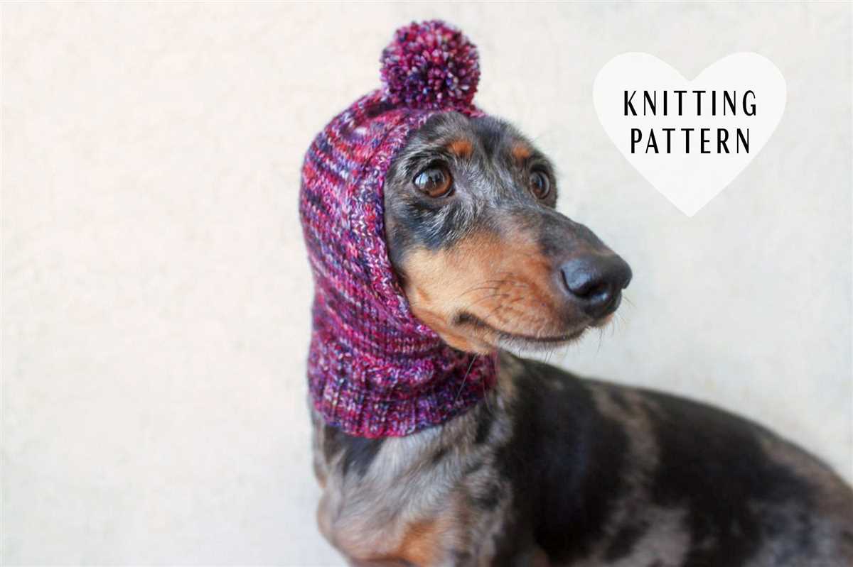 Small dog hat knitting pattern