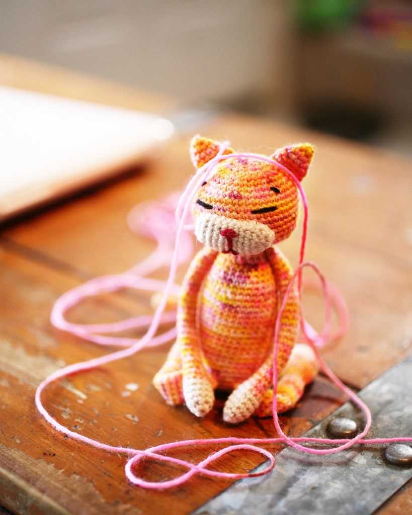 Small knitted cat pattern