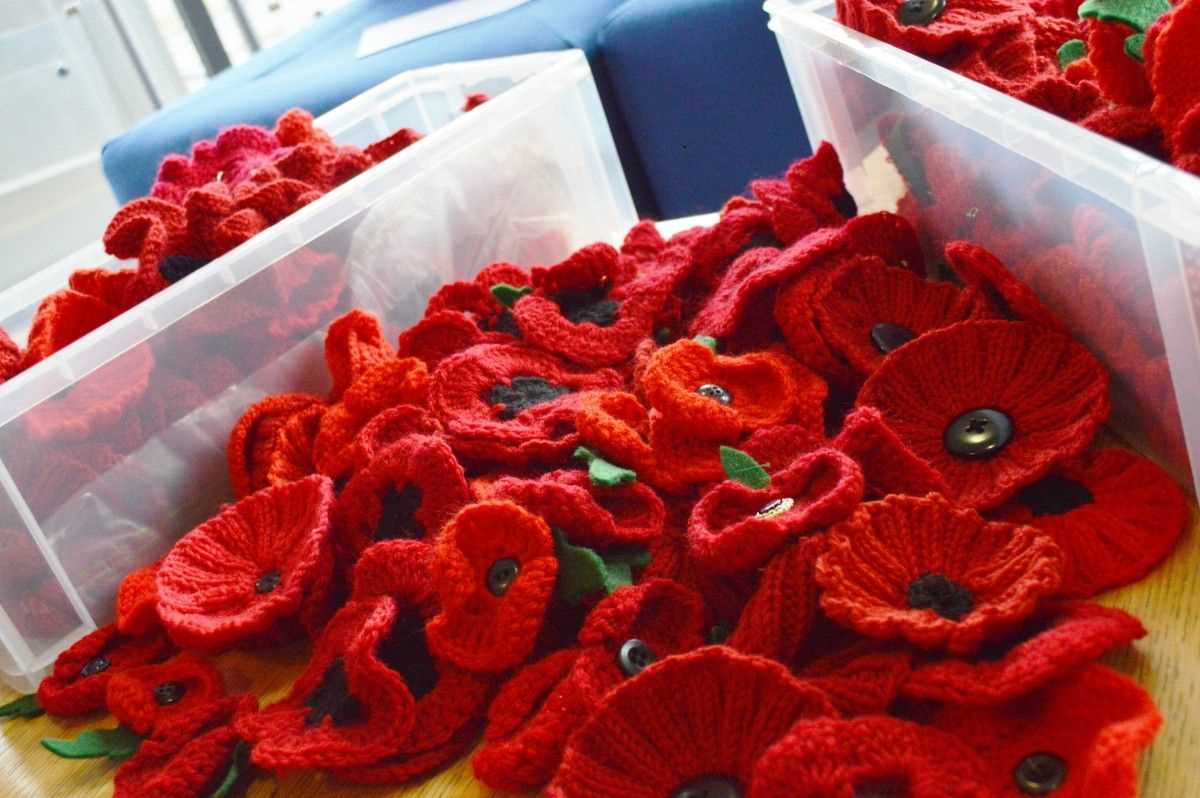 Knit poppy pattern free