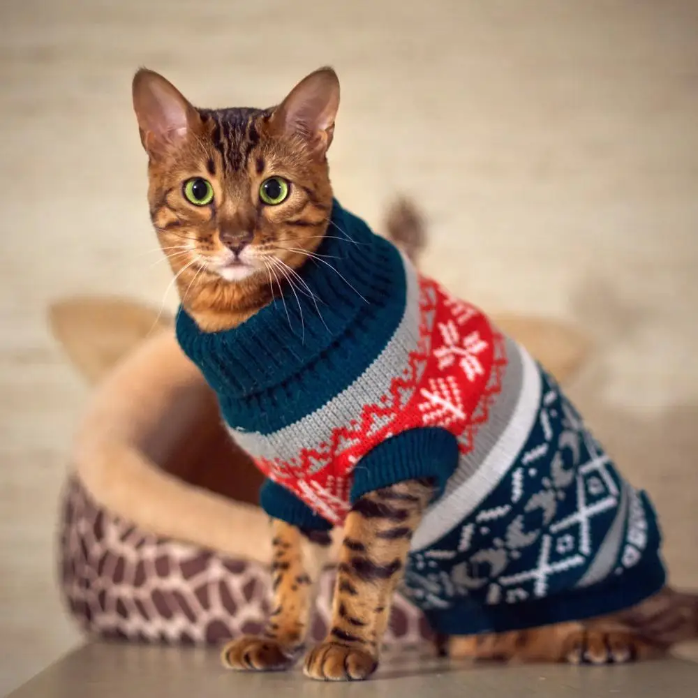 Cat coat knitting pattern