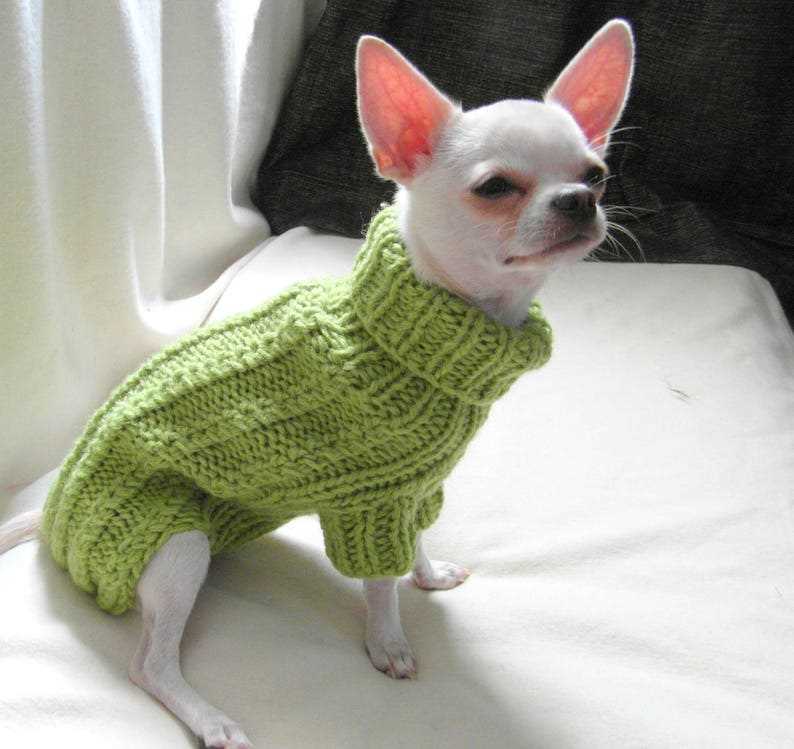 Knitted chihuahua sweater patterns