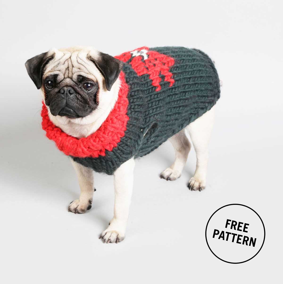 Free knitting patterns for chihuahua dogs