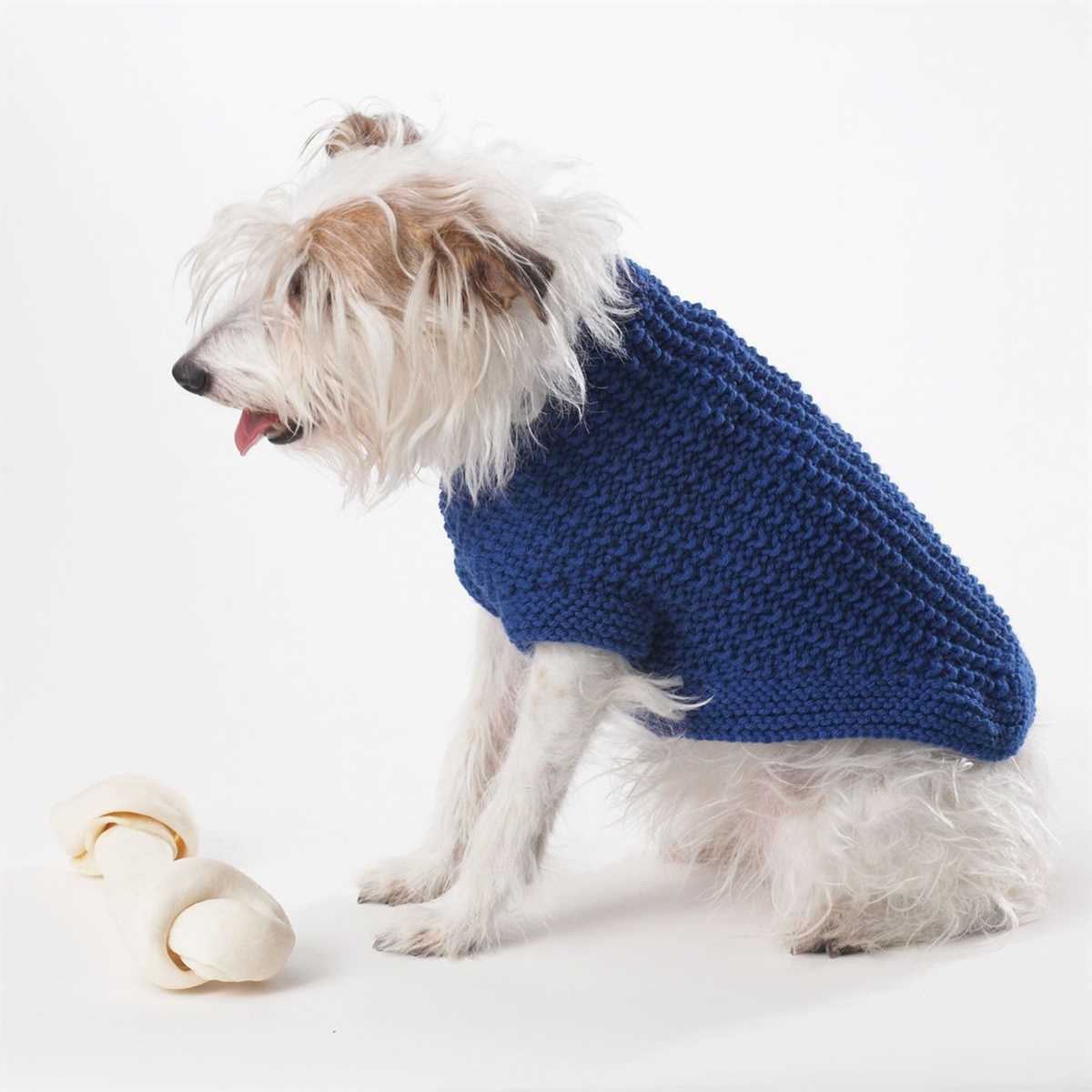 Knitting patterns free for dogs