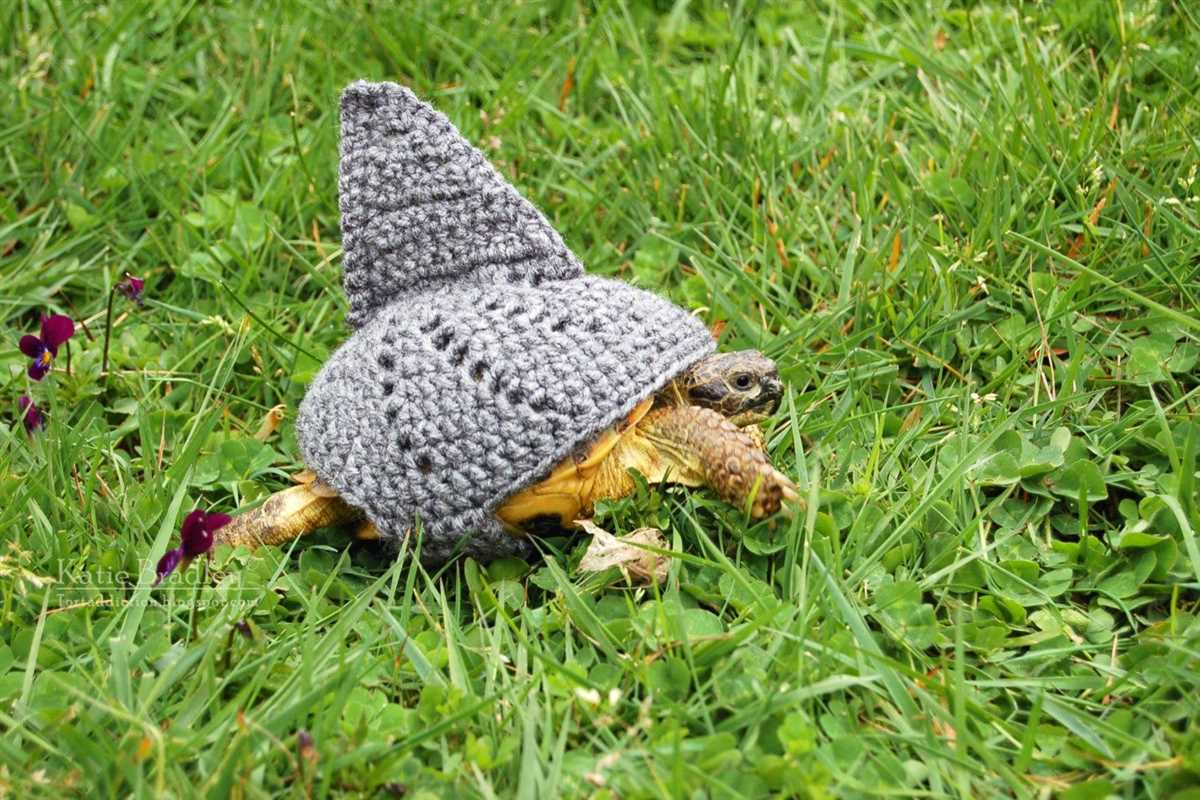 Tortoise knitting pattern