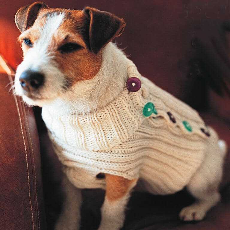 Free knitting patterns for puppies