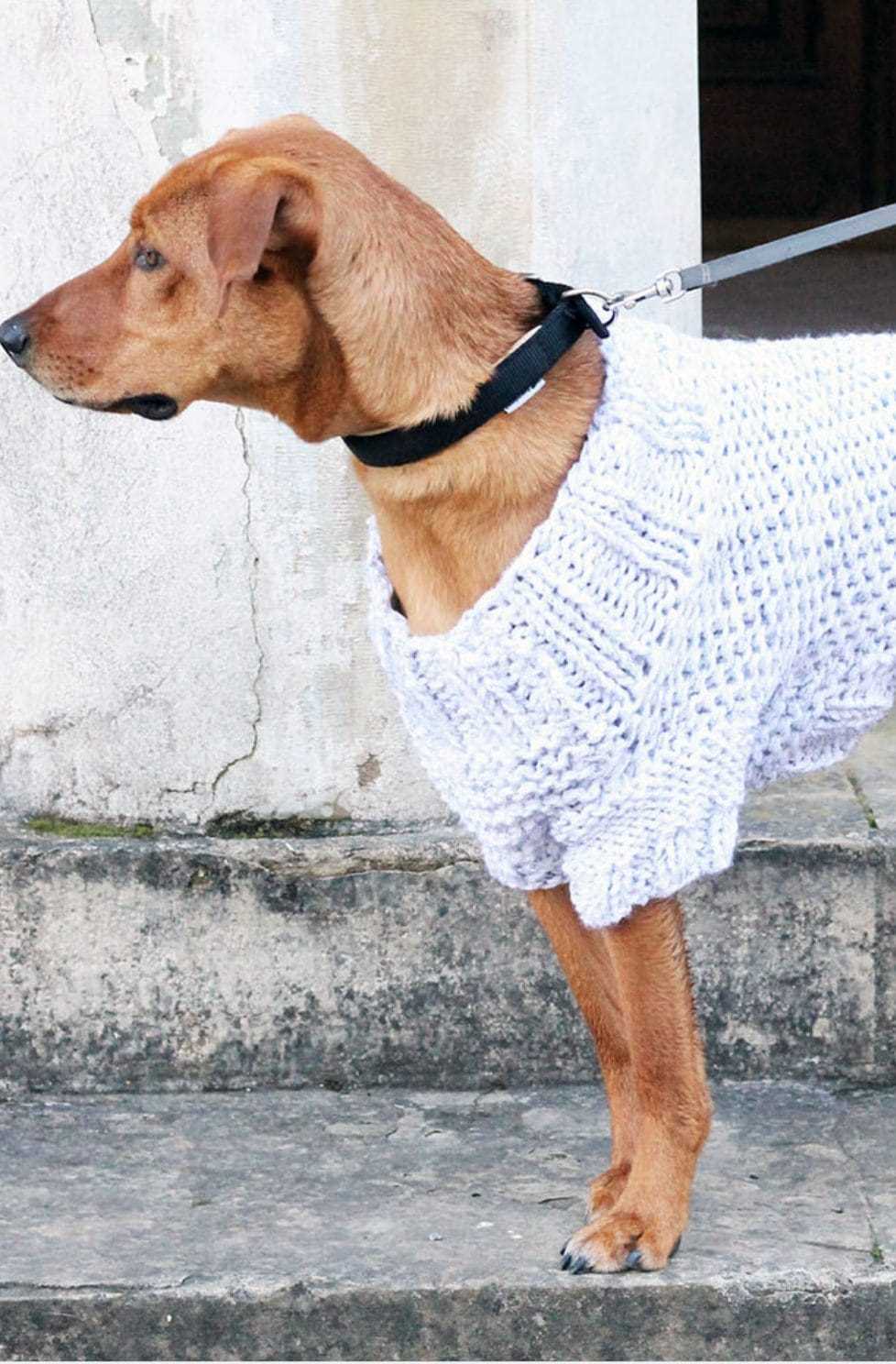 Free knitted dog sweater patterns for large dogs