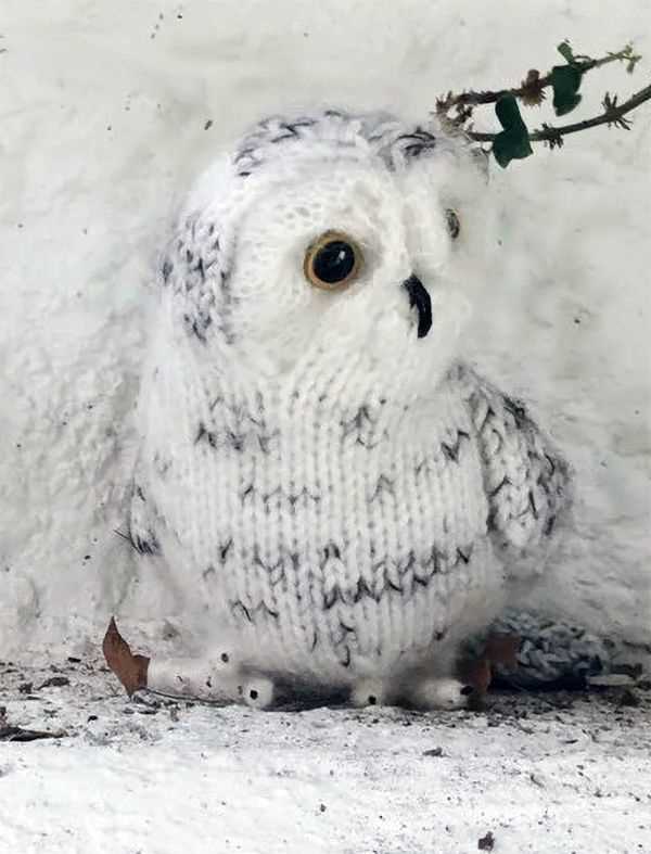 Free snowy owl knitting pattern