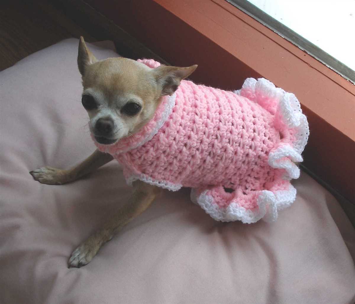Free knitting patterns for chihuahua dogs