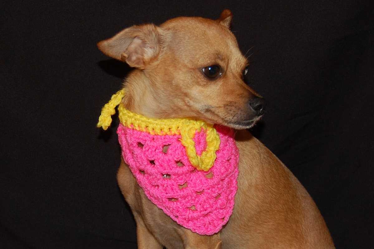 Knitted bandana pattern for dogs