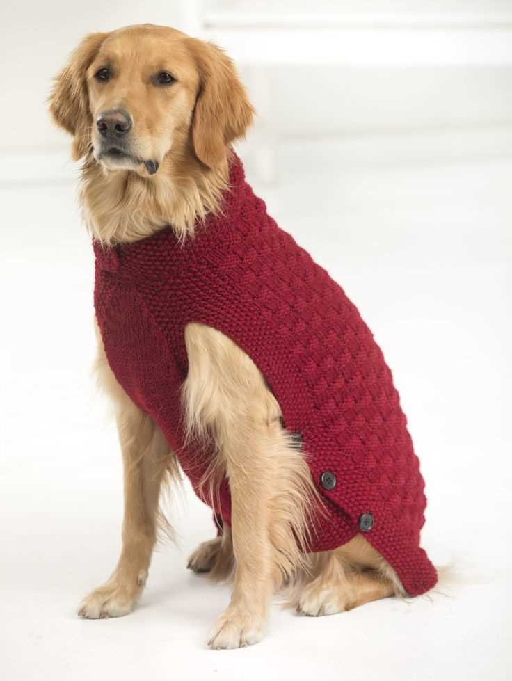 Xs dog sweater knitting pattern