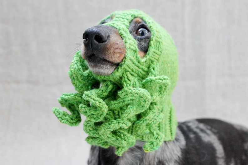 Knitted hats for dogs free pattern