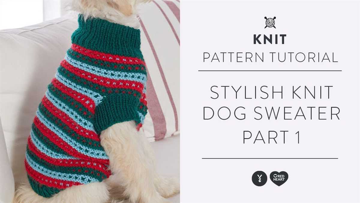 Easy to knit dog sweater free pattern
