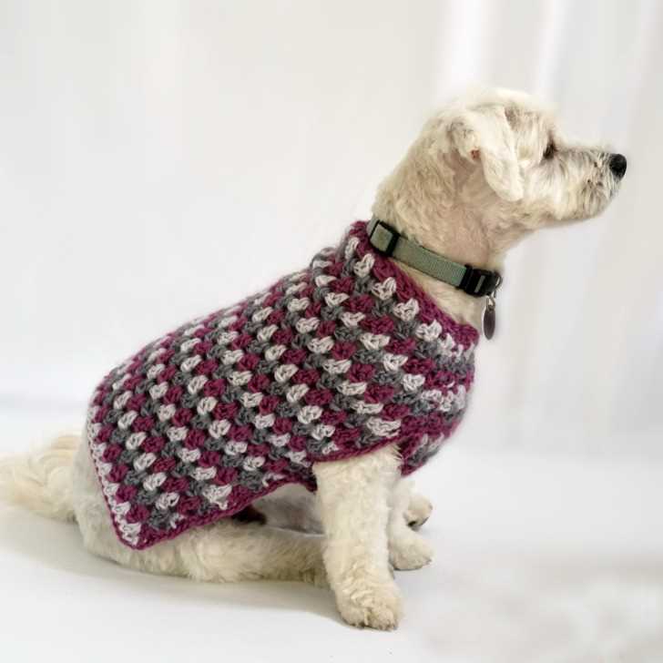 Knitting pattern for dog sweater beginner free