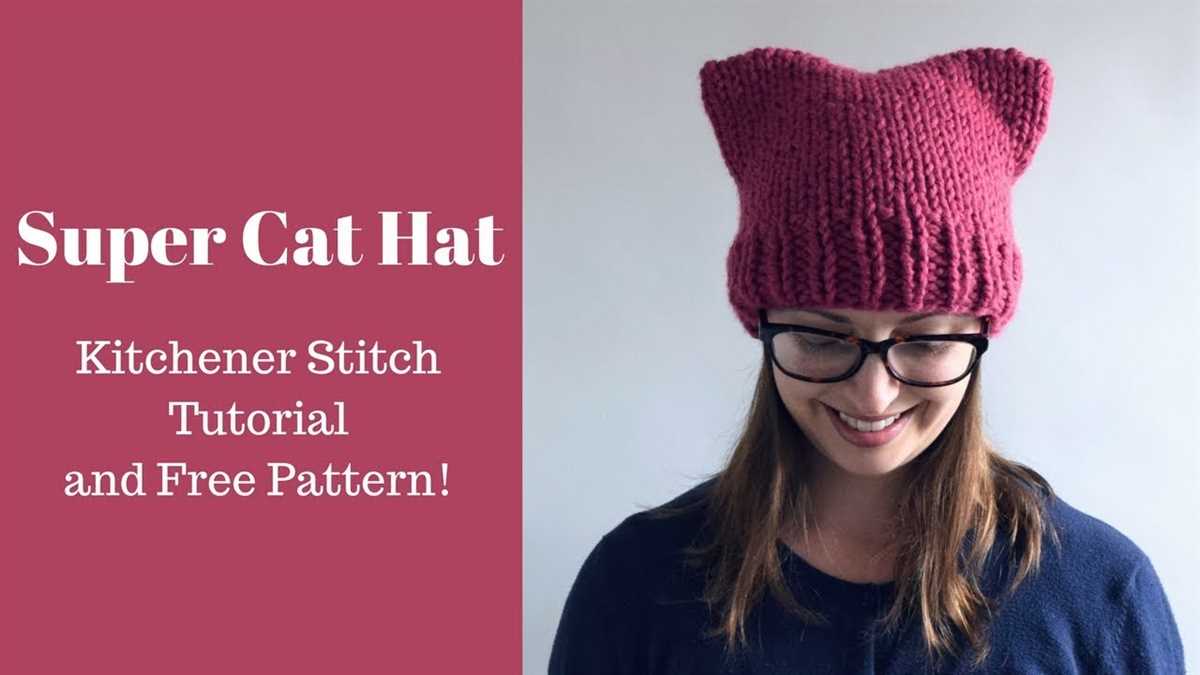 Cat beanie knitting pattern free