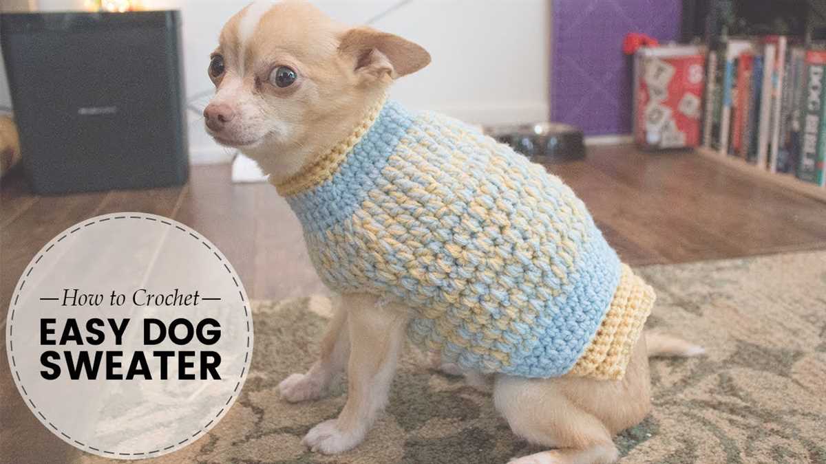 Dog sweaters to knit free patterns