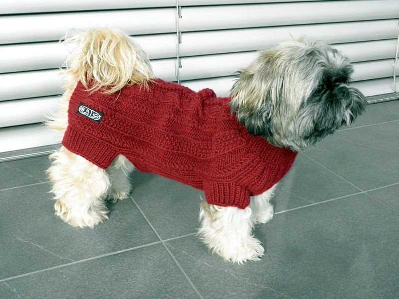 Knitting patterns for pets clothes