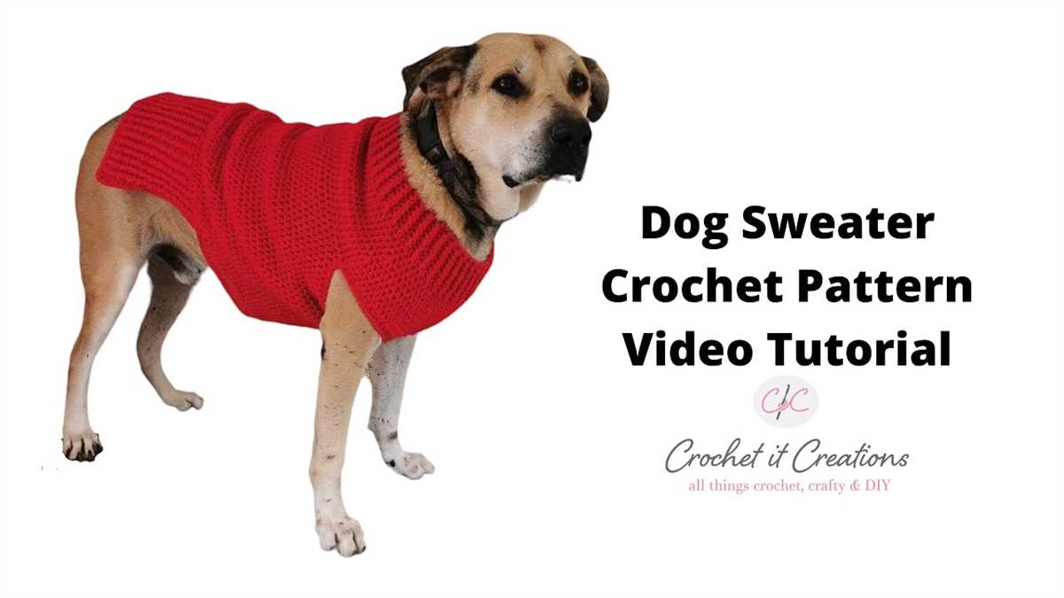 Free knitted dog sweater patterns for large dogs