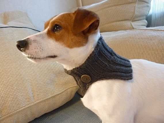 Dog cowl knit pattern