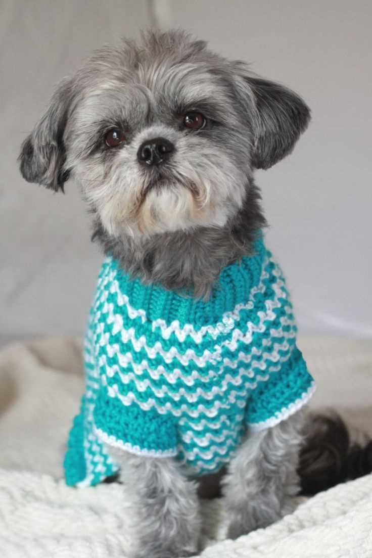 Free knitting patterns for shih tzu dog coat