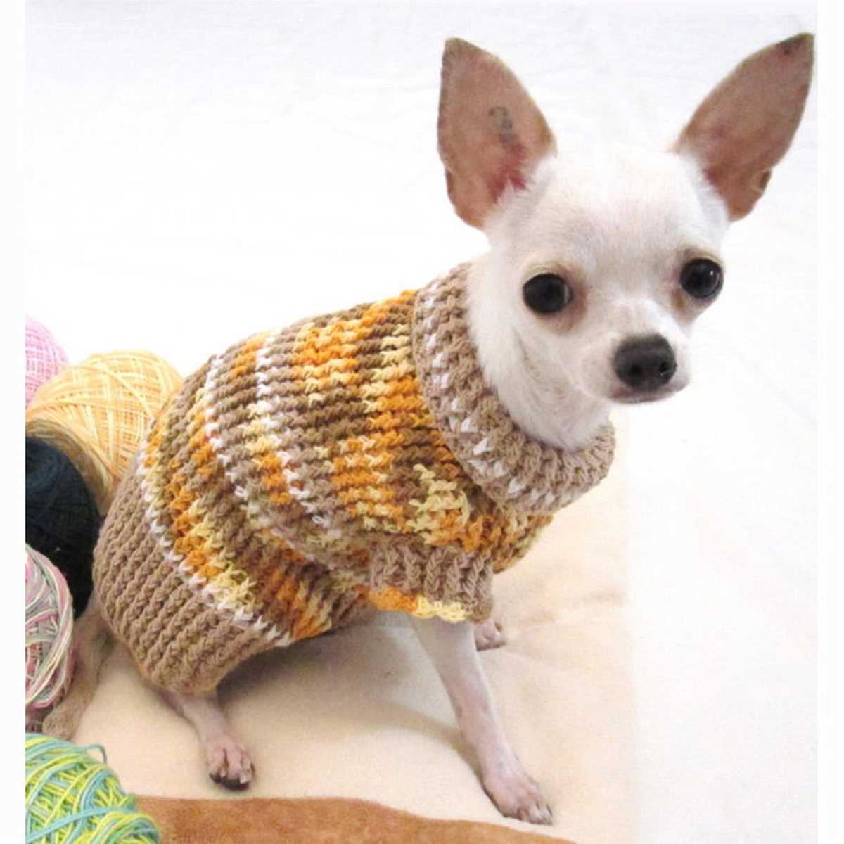 Chihuahua sweater knitting pattern