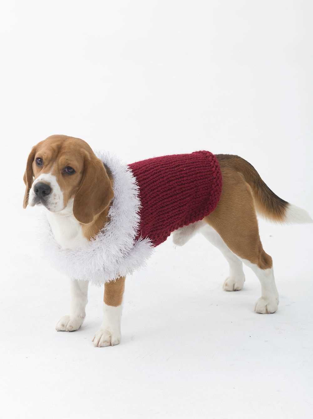 Christmas knitting patterns for dogs