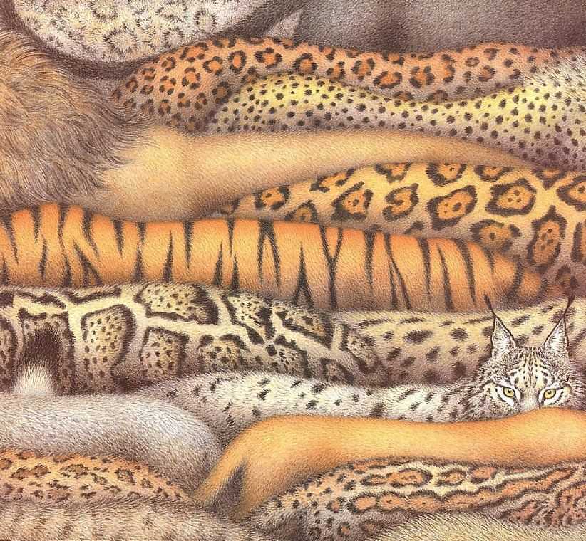 Cheetah knitting pattern