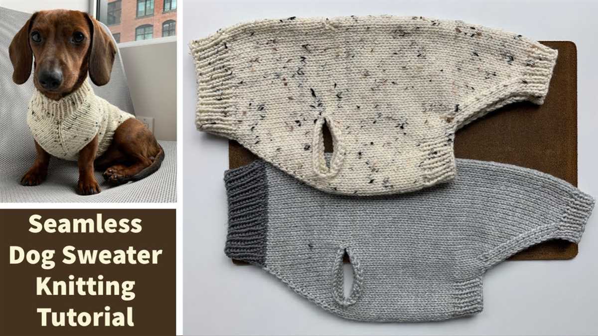 Free easy dog sweater patterns to knit