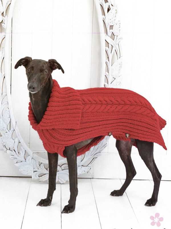Chunky dog sweater knitting pattern