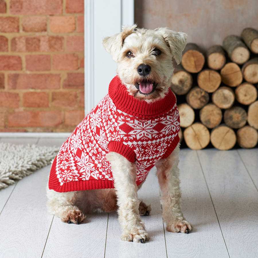 Create a Festive Knit Sweater for Your Pup with This Christmas Dog Jumper Knitting Pattern! Dog christmas jumper knitting pattern
