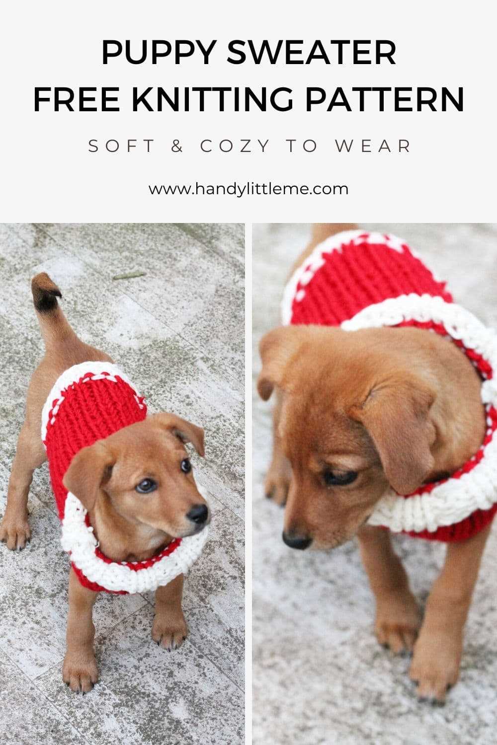Christmas knitting patterns for dogs
