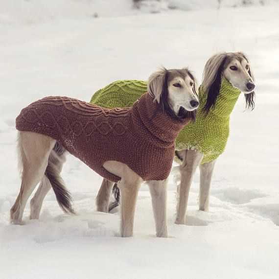 Greyhound knitting pattern coat