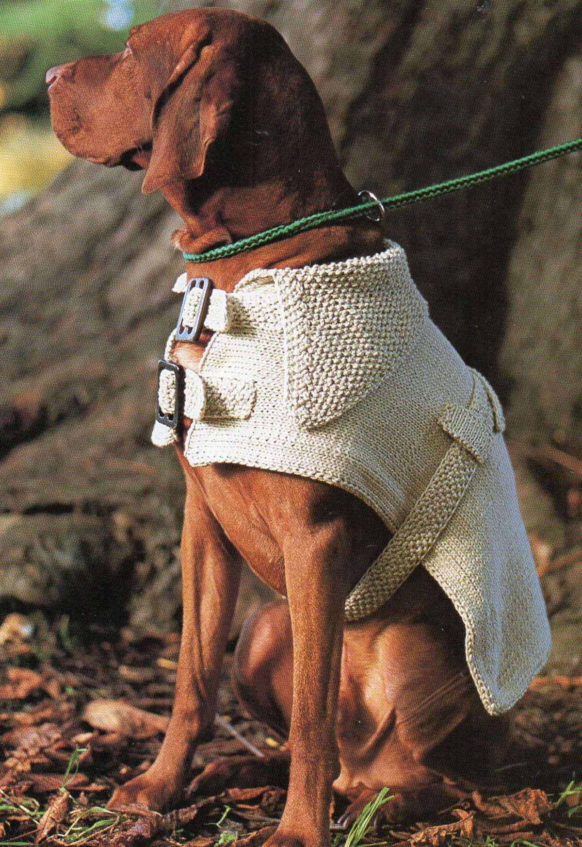 Chunky dog sweater knitting pattern