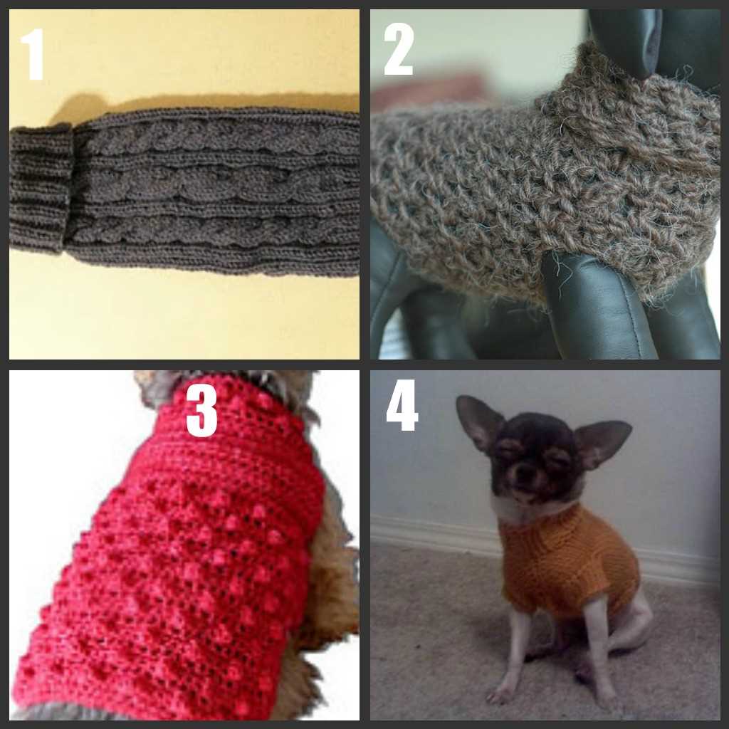 Chihuahua sweater knitting pattern