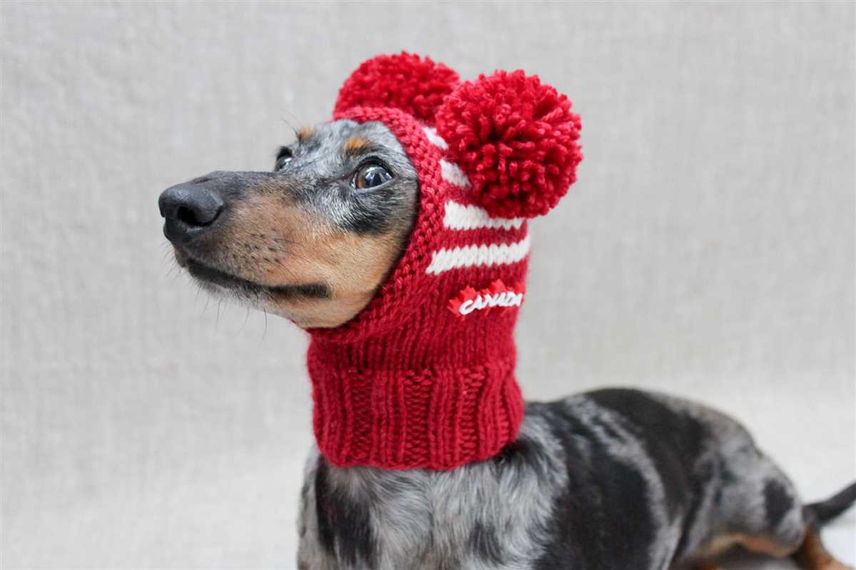 Knitting pattern dog hat