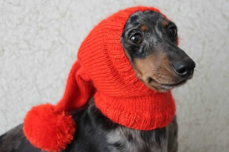 Knitting pattern dog hat